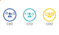 do collect ceo cfo or finance controller email leads for grow your business