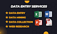 do data entry, data mining, data collection and web research