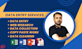 do data entry, data mining, data collection and web research