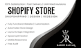 design or redesign a professional shopify dropshipping store