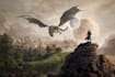 be the developmental editor for your fantasy story