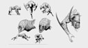 draw amazing creature concepts