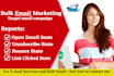 send 100,000 bulk emails, email campaign, email blast