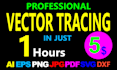 vector redraw, convert logo to vector, convert image to vector, vectorize image