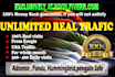 drive unlimited genuine web traffic for 30 days
