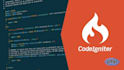 fix any php codeigniter or laravel bug