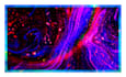 create stunning background visuals