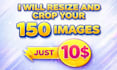resize, crop your 150 images just in 10 dollar and very fast