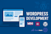 develop and revamp a professional website along optimization