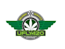 design modern and creative natural cannabis logo