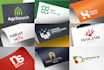 design professional logo and brand guidelines