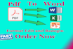 expertly format,edit redesign ms word document for you
