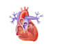 do medical and scientific illustrations