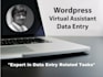 do data entry, virtual assistant, wordpress jobs