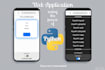 create custom web application or rest API using python