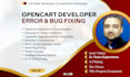 fix bugs and customize your opencart ecommerce store