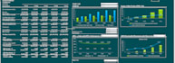 prepare a customized financial model