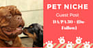 do guest posts in pet niche