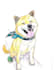 customize your cute pet, animal illustration for you