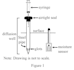 draw scientific experiments and illustrations