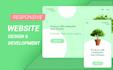 design and develop custom professional websites