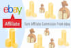 build automated ebay affiliate website