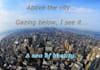 write a haiku about any topic you would like