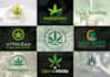 design creative cannabis hemp weed marijuana cbd oil logo