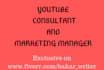 be your youtube  consultant and marketing manager