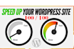 do wordpress website speed optimization, increase page speed