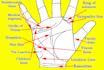 give you the most accurate and detail palm reading