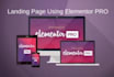 design custom website and landing page with elementor pro