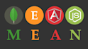 create nodejs and angular web app