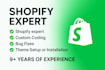 do shopify custom coding or shopify theme customization
