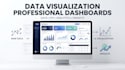 create professional data dashboards and visualizations