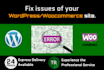 fix issues of your wordpress or woocommerce site