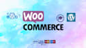 do website development, wordpress customization