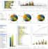 present your raw data in excel dashboard