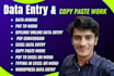 do any data entry and data enrichment