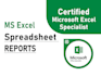 create professional spreadsheet with functions, charts, pivot table