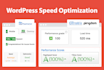 speed up wordpress and fix pagespeed insights issues