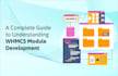 do custom whmcs development