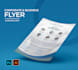 design a professional flyer