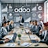 provide a full odoo erp team, developer, consultant, manager and admin
