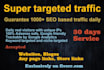 get 30k super targeted seo friendly website traffic