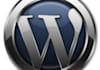 make any wordpress plugin for you