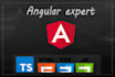 do angular frontend and fixing angular html css js ts bugs