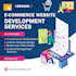 develop a professional ecommerce website