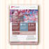 design an awesome  flyer