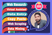 do web research, virtual assistant